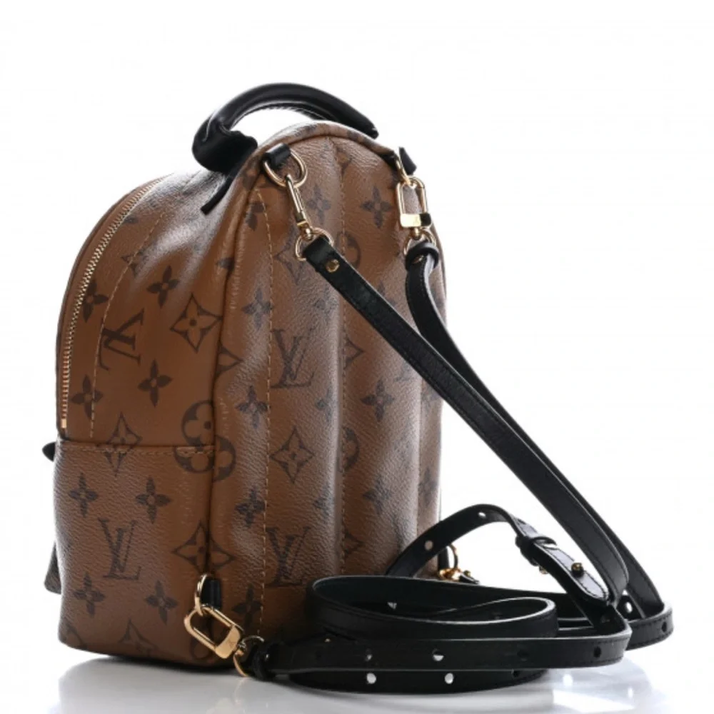 Louis Vuitton Brown and Black Monogram Backpack Palmspring Reverse - Picture 2 of 5